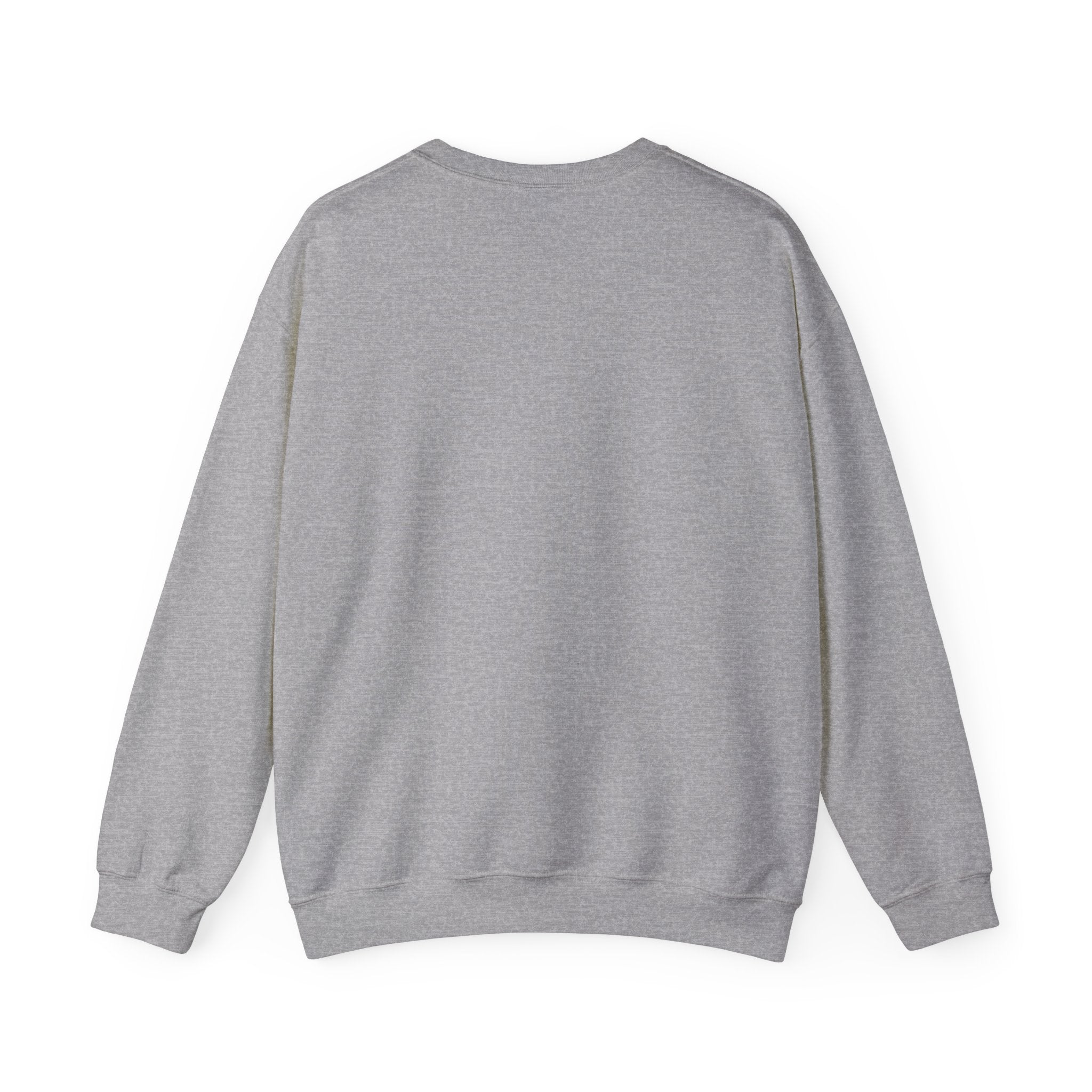 Respect the Locals badge sweatshirt | Protect Our National Parks, hiking camping