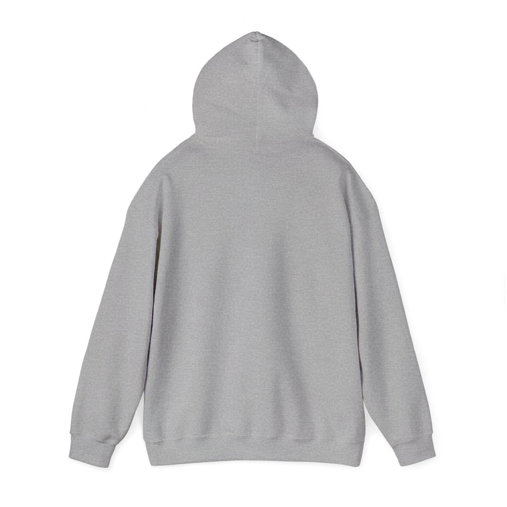 Respect the Locals emblem Hoodie | Protect Our Parks, National Parks, Hiking